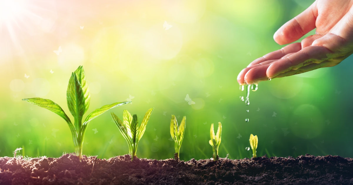 Benefiti-konsultacija-1 Benefiti-konsultacija-1