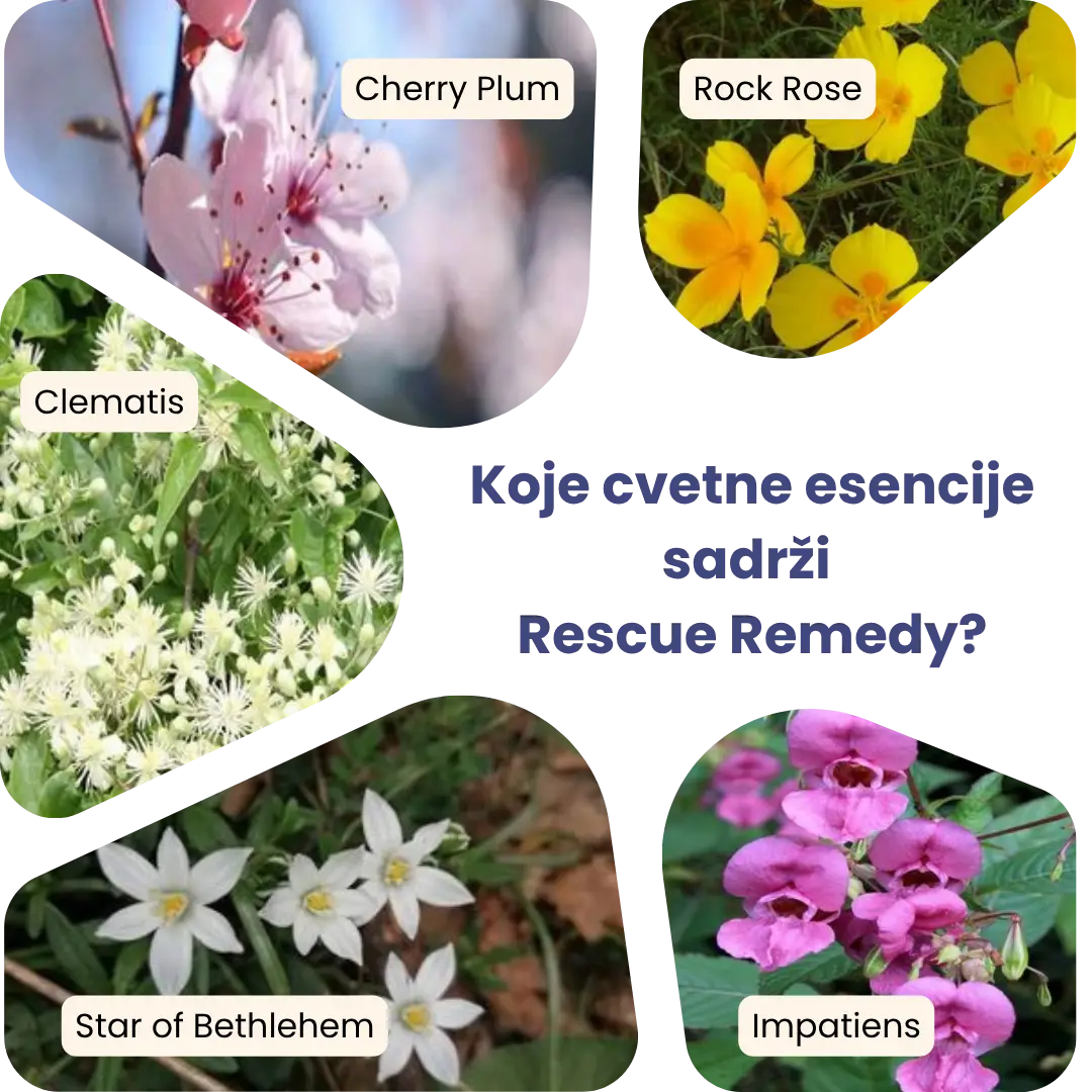 rescue-remedy-cvetovi-2